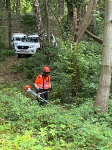 A man dresses in orange PPE using a Brush cutter in an area with dense vegetation.